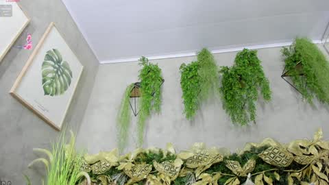 lana_lann online show from 12/20/24, 11:54