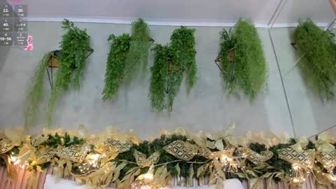 lana_lann online show from 12/22/24, 01:55