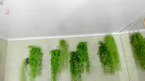 lana_lann online show from 01/09/25, 12:30