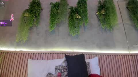 lana_lann online show from 02/14/25, 02:54