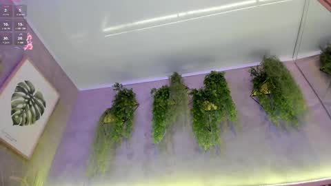 lana_lann online show from 02/27/25, 01:38