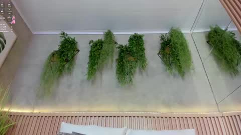 lana_lann online show from 03/12/25, 02:56