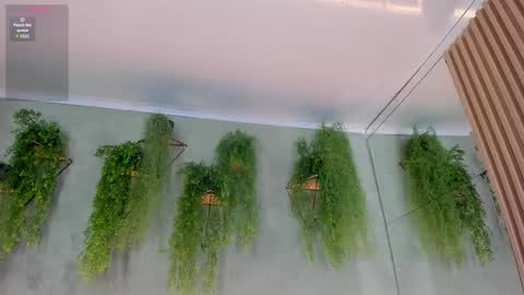 lana_lann online show from 11/10/25, 12:04