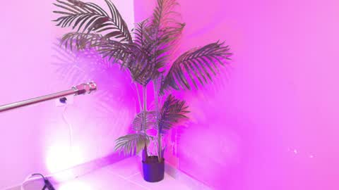 LANA online show from 04/03/26, 04:10