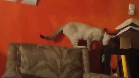 lanasexyass online show from 03/23/26, 08:02