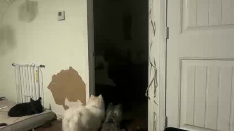 lanasharapovaxxx online show from 02/18/26, 12:28