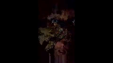 Snapshot of langederek2 chatting on 05/18/26, 03:24 langederek2 online show from 05/18/26, 03:24
