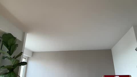 Lanimal online show from 03/10/26, 01:05