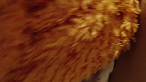 Snapshot of laralhotr chatting on 12/26/24, 10:09 laralhotr online show from 12/26/24, 10:09