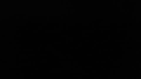 Snapshot of larry77733217 chatting on 02/11/25, 09:56 larry77733217 online show from 02/11/25, 09:56