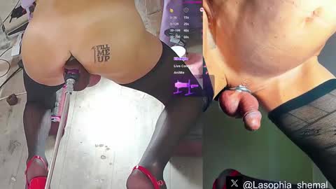 Sophia online show from 03/11/25, 06:00