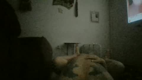 lasrgarza5150 online show from 06/25/26, 04:33