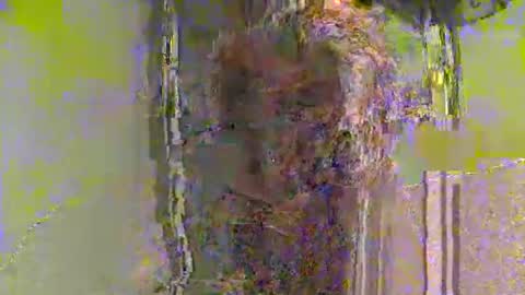 lathams1 online show from 04/19/26, 08:55