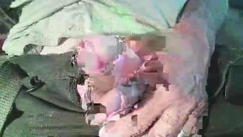 joseph online show from 05/27/26, 06:27