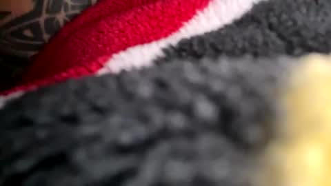 Mexakin online show from 11/16/25, 08:58