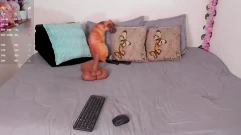 laura1__ online show from 12/15/25, 11:31