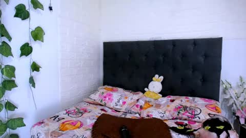 LAURA online show from 07/02/26, 04:02