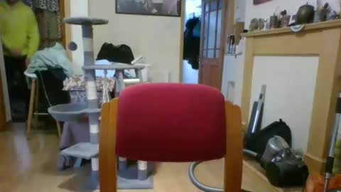 Snapshot of lauratedomm chatting on 03/08/26, 04:00 lauratedomm online show from 03/08/26, 04:00