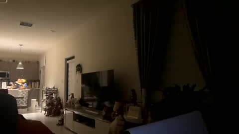 law_cambio online show from 12/31/24, 11:31