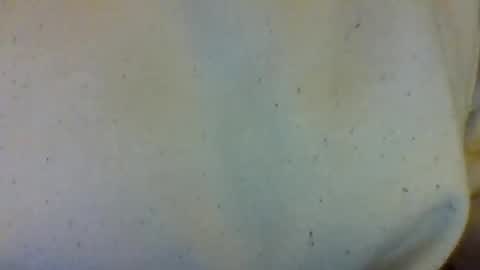 Snapshot of layannalea chatting on 02/13/26, 07:04 layannalea online show from 02/13/26, 07:04