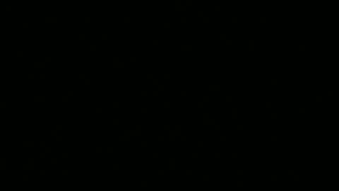 Snapshot of leeguy_hugedick chatting on 06/13/26, 08:12 Ebony DeafGuy online show from 06/13/26, 08:12
