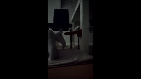 leehillery1 online show from 12/17/25, 01:44