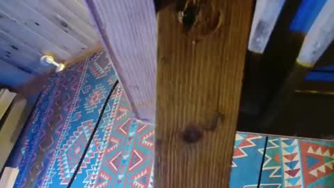 Dliciousman online show from 12/19/24, 05:50