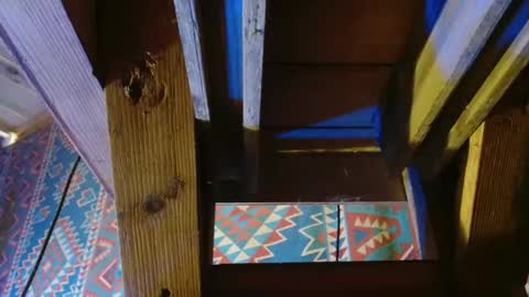 Dliciousman online show from 12/19/24, 08:55