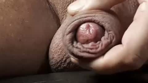 legofactory online show from 02/13/25, 04:54