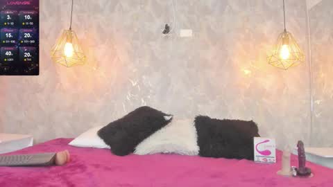 LEIGH ANGELS online show from 01/17/26, 12:15