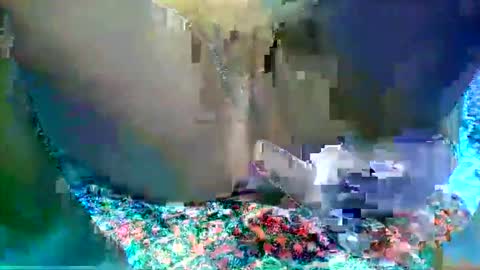 leilah_hope online show from 02/16/26, 05:47