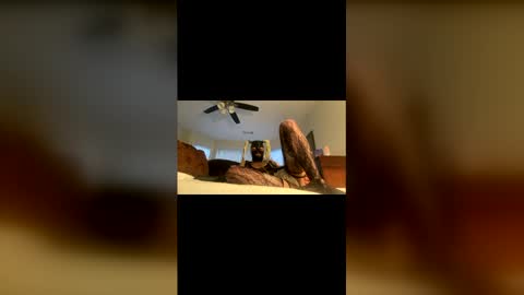 lelesmayone online show from 05/25/26, 10:54