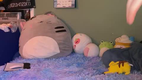 Lemmi online show from 02/01/25, 09:21