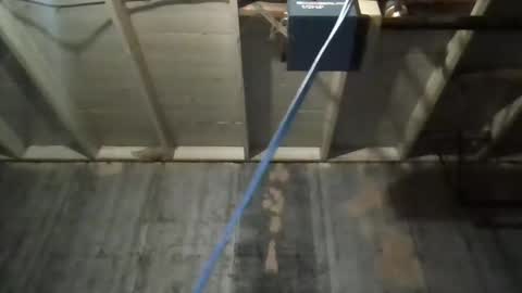 leo199984 online show from 11/25/25, 03:39