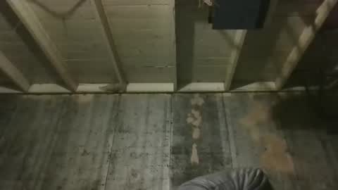 leo199984 online show from 12/19/25, 03:24