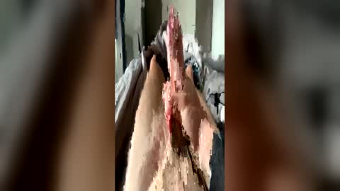 leo41231 online show from 04/21/26, 08:42