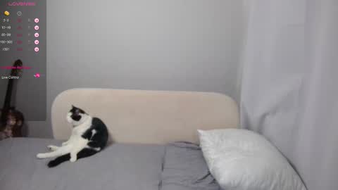 Snapshot of leonkissboy chatting on 03/01/26, 04:14 leonkissboy online show from 03/01/26, 04:14