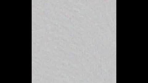 Snapshot of leontorax chatting on 12/20/25, 12:07 T0rax online show from 12/20/25, 12:07