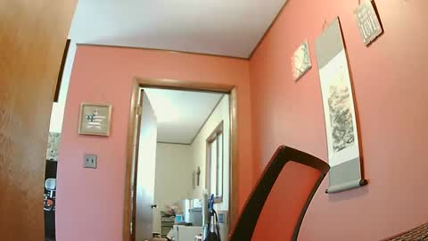 lesgrable67 online show from 02/21/25, 05:09