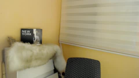 Snapshot of lesleyanderson chatting on 11/11/25, 11:27 Pat online show from 11/11/25, 11:27