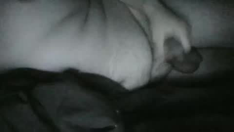 Snapshot of lethandor chatting on 12/25/24, 06:52 Rayne online show from 12/25/24, 06:52