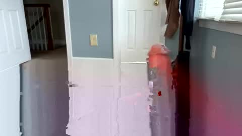 letmecumforyou71 online show from 03/04/26, 06:14