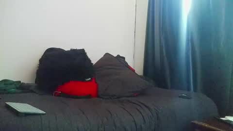 Torres online show from 04/27/26, 12:36