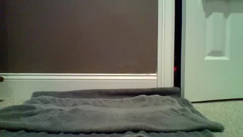 Lets Orgasm  online show from 01/27/25, 12:54