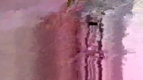 letslookateach online show from 02/26/26, 08:46