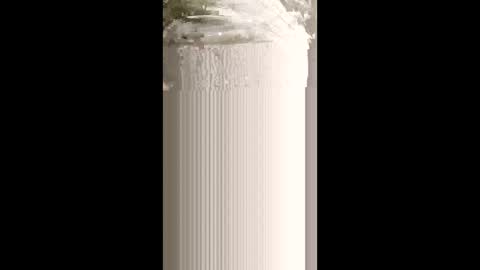 levis501bandant online show from 01/15/26, 02:38