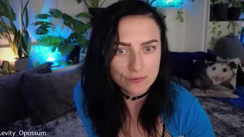 Levity online show from 11/11/25, 11:05