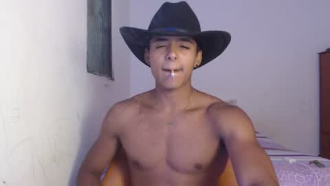 Snapshot of lewis_ly chatting on 07/01/26, 03:12 i am lewis ly EDUARDO MEMDOZA15 online show from 07/01/26, 03:12