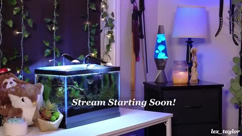 Snapshot of lex_taylor chatting on 01/15/25, 03:22 Lex online show from 01/15/25, 03:22