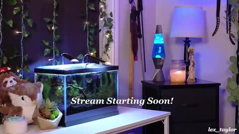 Snapshot of lex_taylor chatting on 02/17/25, 04:04 Lex online show from 02/17/25, 04:04